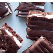 Chocolate Peppermint Bars
