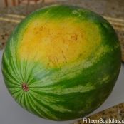 Watermelon Picking Tips