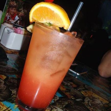 Tropical Toucan from Rainforest Cafe - Downtown Disney