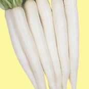 Roasted Daikons