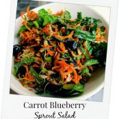 Carrot Blueberry Sprout Salad - FoodBabe