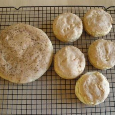 bread - hamburger buns / focaccia bread