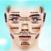 Chinese Facial-Reading Chart