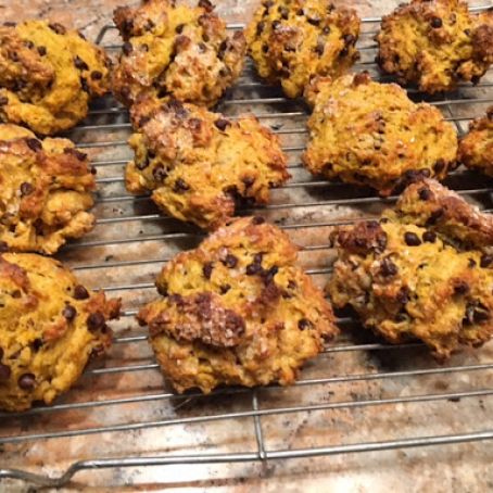 Pumpkin Scones