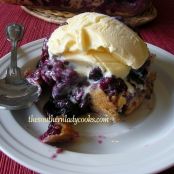 Blueberry Pudding Cake