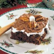Mississippi Mud Cake Recipe