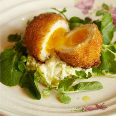 Light Scotch Eggs