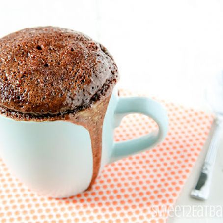 Chocolate Peanut Butter Mug Cake
