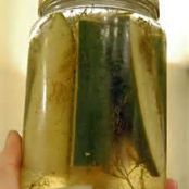 Cristina's Spicey Fridge Pickles