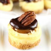 Mini Turtle Cheesecakes