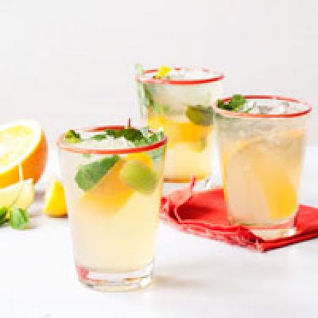 Citrus Gin Spritzer