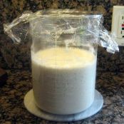 Sourdough Starter