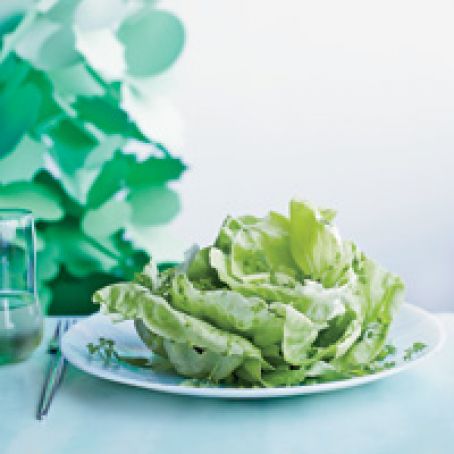 Boston Lettuce Salad with Herbs