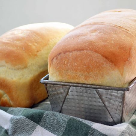 White Sandwich Bread