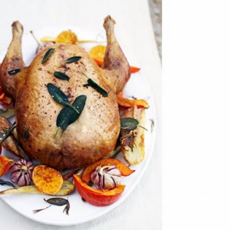 The best turkey in the world