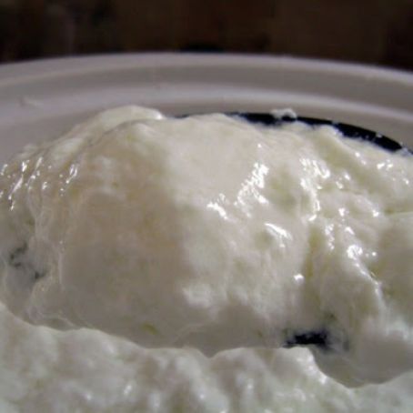 Crockpot Yogurt