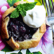 Blueberry Galettes