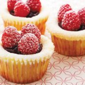 Easy Cheesecake Cupcakes