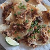 Pulled Pork Nachos