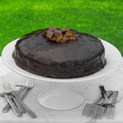 Chocolate & Peanut Butter Mousse Cake