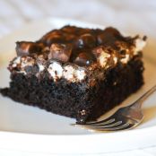 Cake: Mississippi Mud Cake
