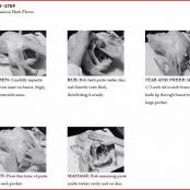 Turkey - Whole [Bk] 'Roasted 'Herbs