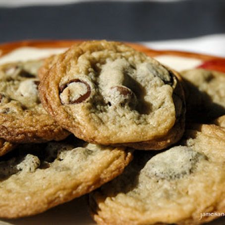 The Best Chocolate Chip Cookie