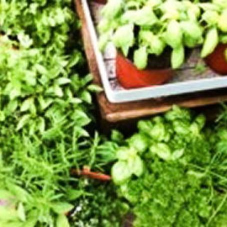 Ratios for Converting Fresh Herbs to Dried