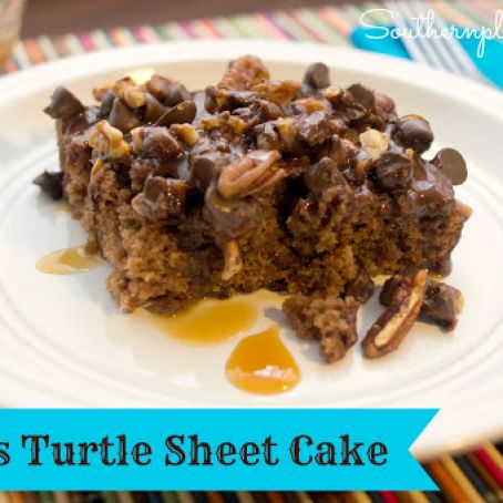 Texas Turtle Sheet Cake