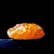 Caramelized Trout Roe