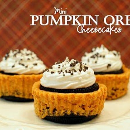Pumpkin Oreo Cheesecake