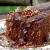 Paula's Savannah Chocolate Cake with Hot Fudge Sauce