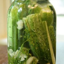 24 Hour Dill Pickles