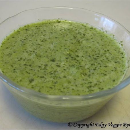 Sauce: Sante Fe Salad Dressing