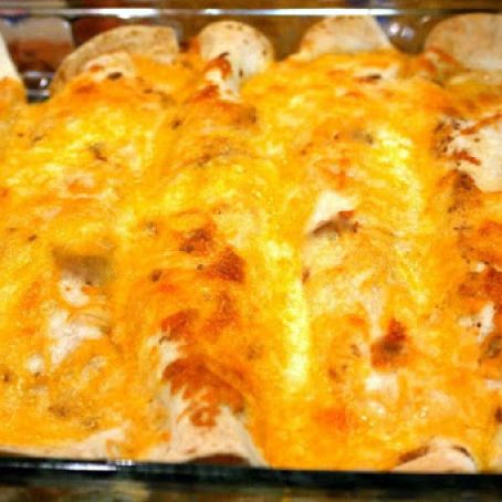 Creamy Chicken Enchiladas