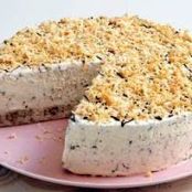 Pastel helado con chispas de chocolate y coco