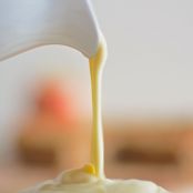 Cream Sauce for Crapes