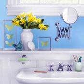 Soft Scrub/Toilet Bowl Cleaner