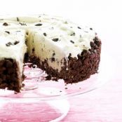 Chocolate-Peanut Butter ice cream cake