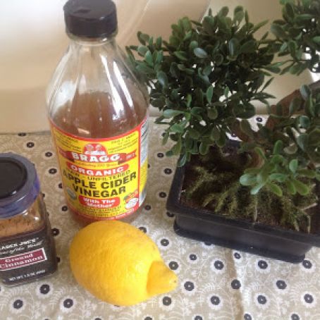 Apple Cider Vinegar Drink