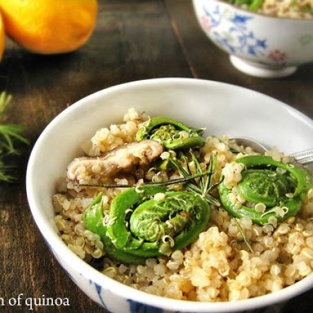 QUINOA-Lemon Rosemary Quinoa with Fiddleheads & Mushrooms