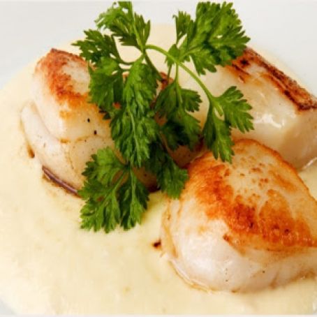 Seared Scallops with Cauliflower Puree
