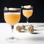 AMARETTO - Fresh Ginger Amaretto Sour