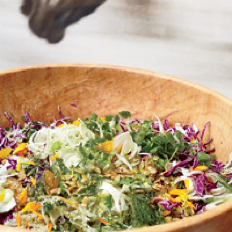 Red Cabbage Salad with Fennel, Orange and Pepitas