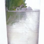 Shiso-Jito