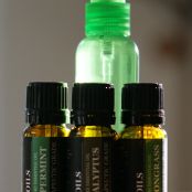 Homemade Tick & Mosquito Spray