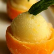 Meyer Lemon-Basil Sorbet