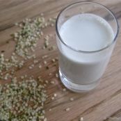 Raw Homemade Hemp Seed Milk