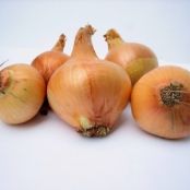 Homemade Onion Powder