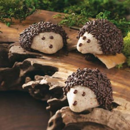 Chocolate-Pecan Hedgehog Cookies